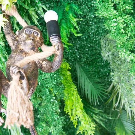 Complex Nero Апартхотел 4*